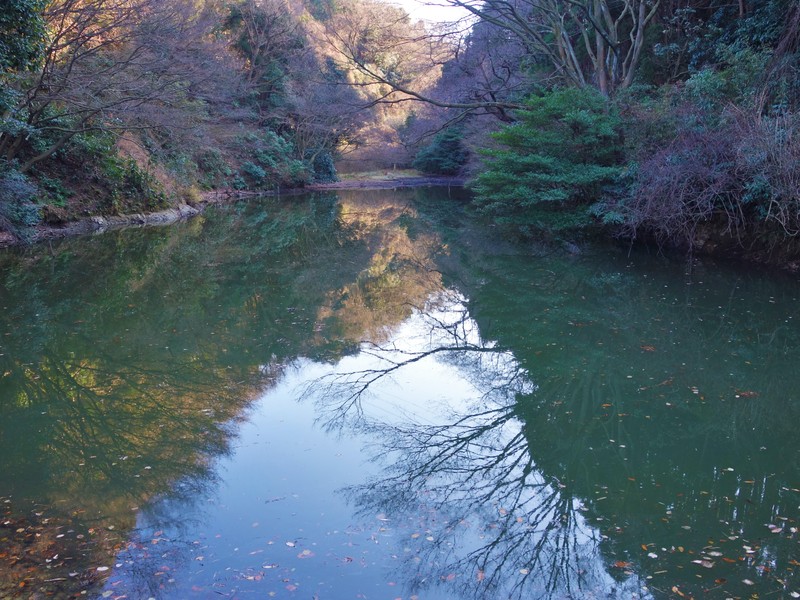 f0291154_1582539.jpg