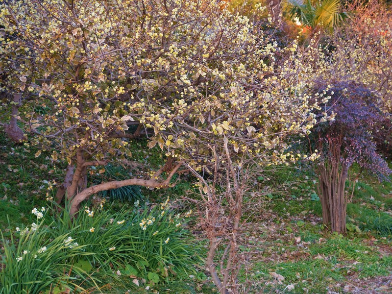 f0291154_2354155.jpg
