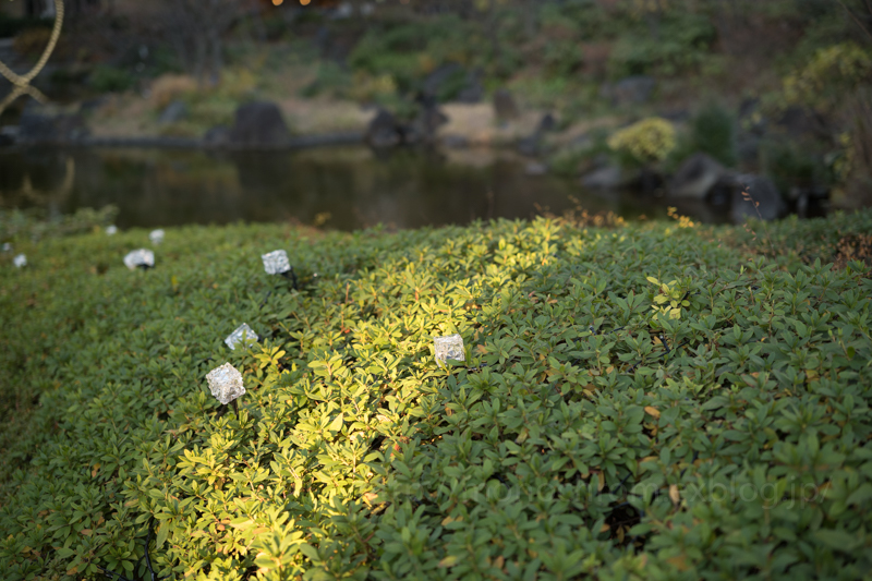 Roppongi 散歩　2019 03_c0219256_21170336.jpg