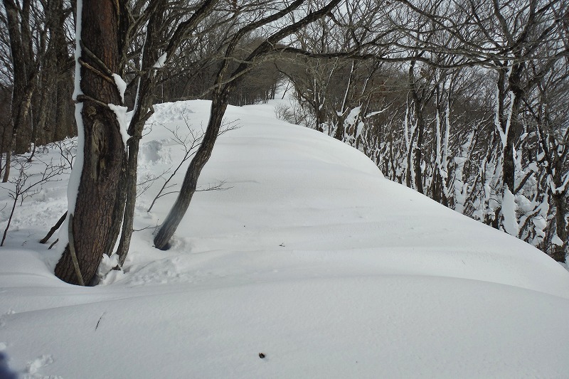 c0294658_21015870.jpg