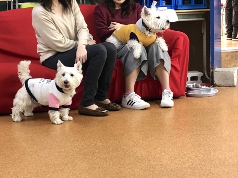 f0363961_15445180.jpeg