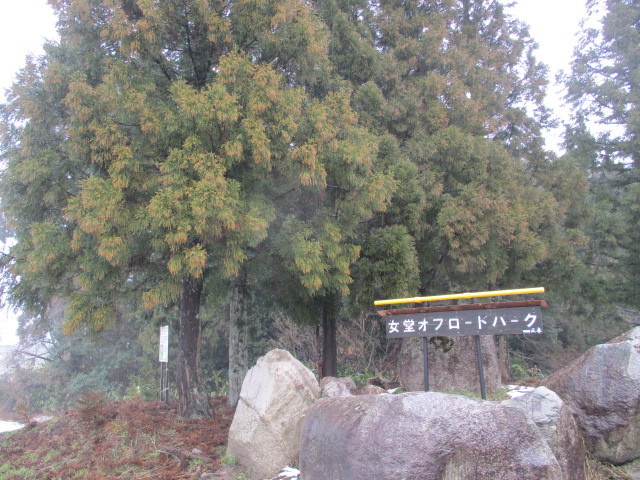 c0080863_17291807.jpg