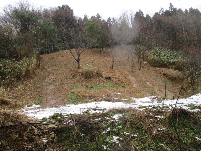 c0080863_17302800.jpg