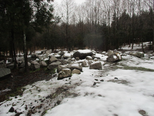 c0080863_17321664.jpg