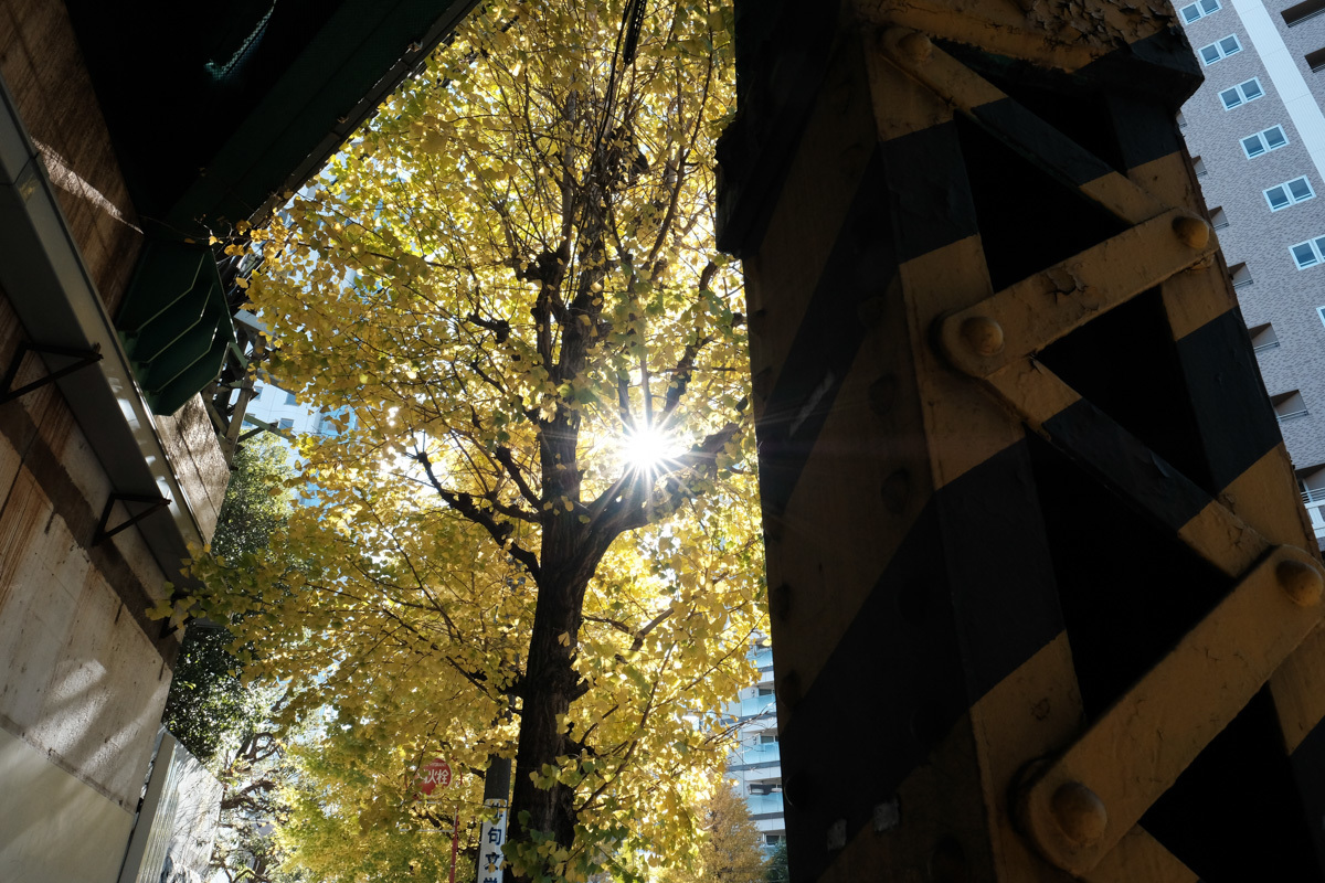 c0084666_09382034.jpg