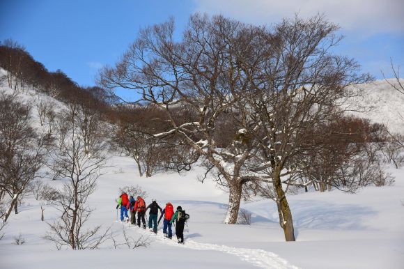 年に１度は、鍋倉山ＢＣ。_b0050067_22362705.jpg