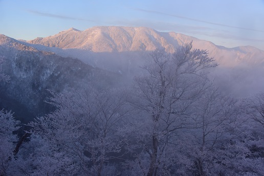 美しき夜明け　　一ノ峠～天川辻_c0303868_04122377.jpg