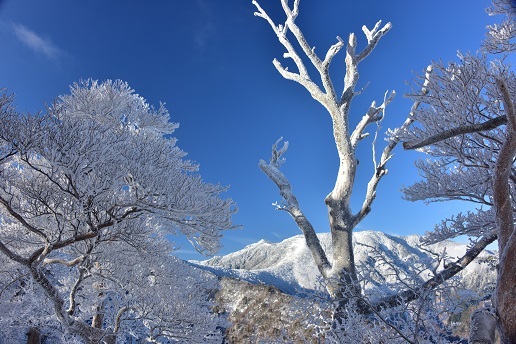 美しき夜明け　　一ノ峠～天川辻_c0303868_04165844.jpg