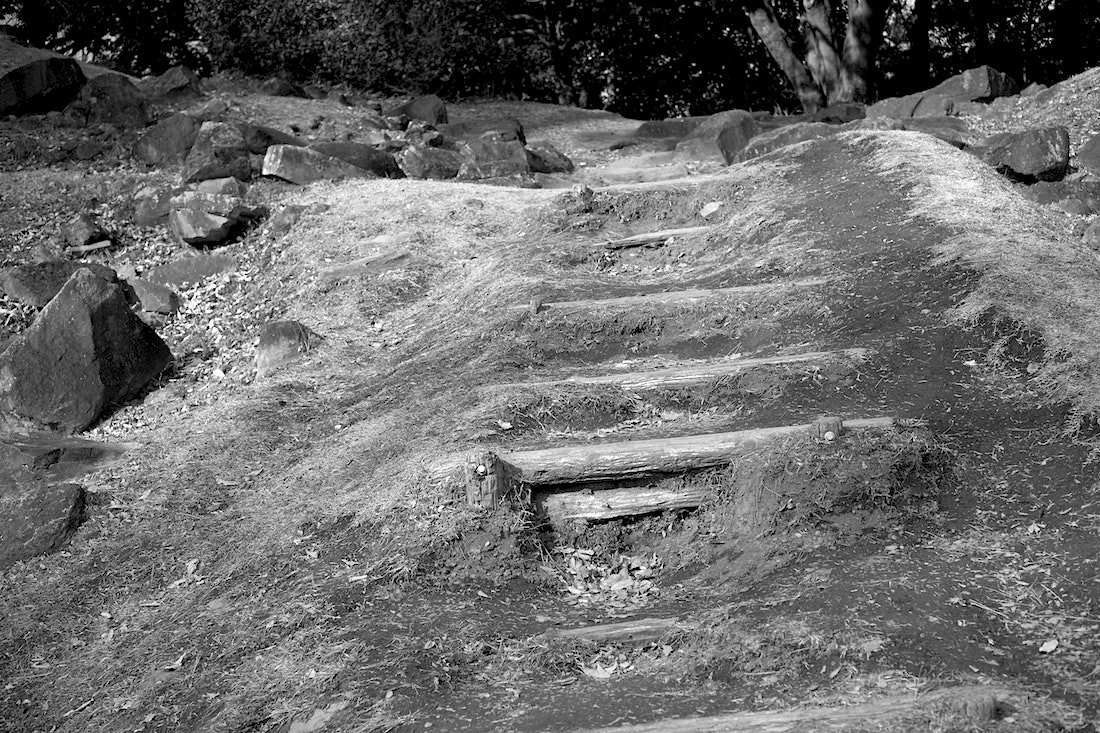d0175768_14145008.jpeg
