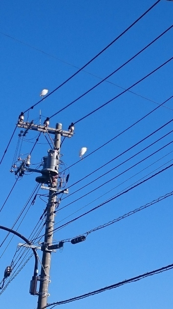 c0194171_23055360.jpg