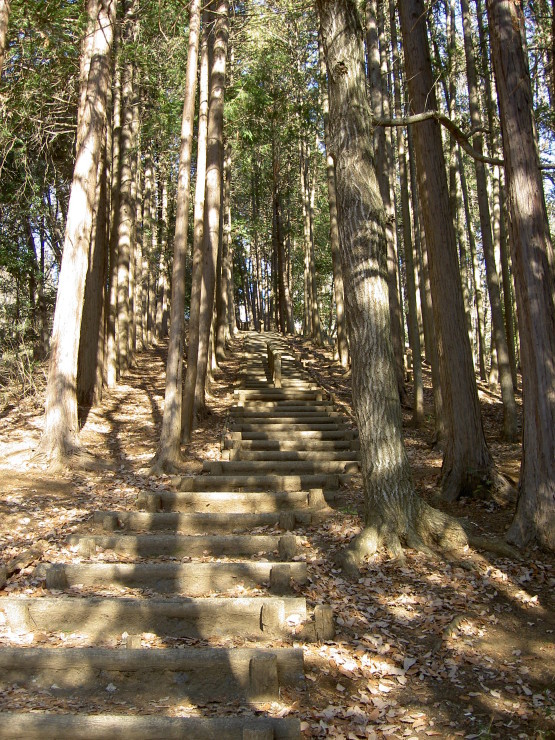 d0225575_21162798.jpg
