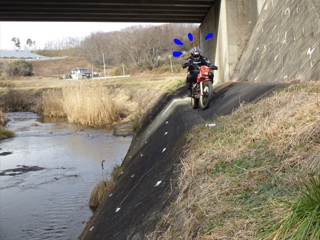 b0080681_17311580.jpg