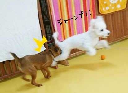 元気!元気!_f0357682_20301703.jpg