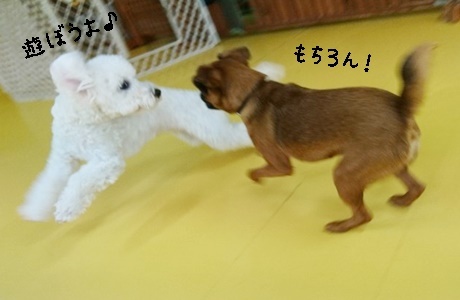 元気!元気!_f0357682_20303036.jpg