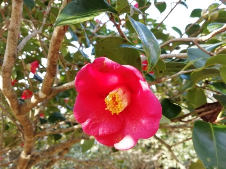 c0212083_17060166.jpg
