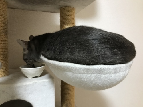 c0340786_13091548.jpeg