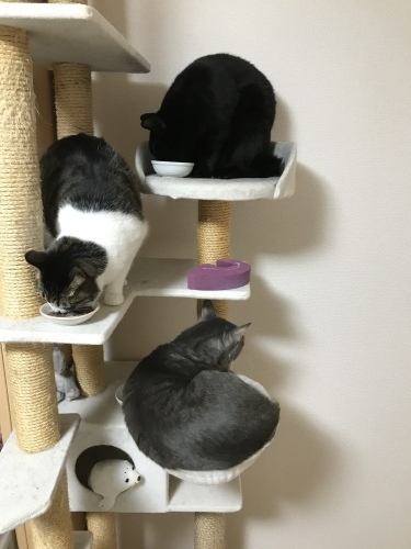 c0340786_13093010.jpeg