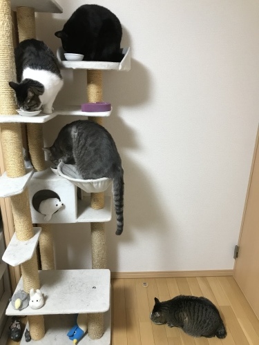 c0340786_13094678.jpeg