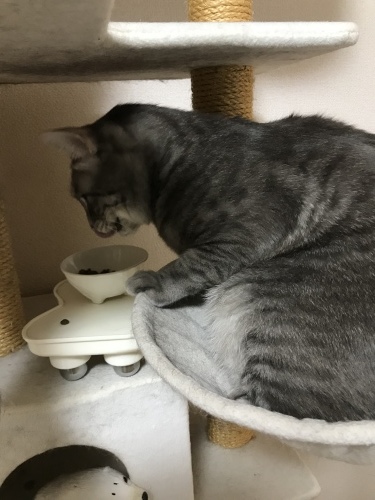 c0340786_13100625.jpeg