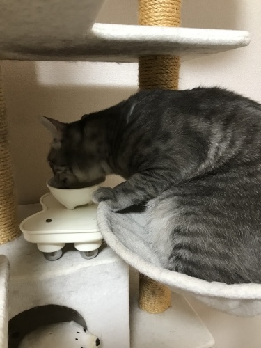 c0340786_13102260.jpeg