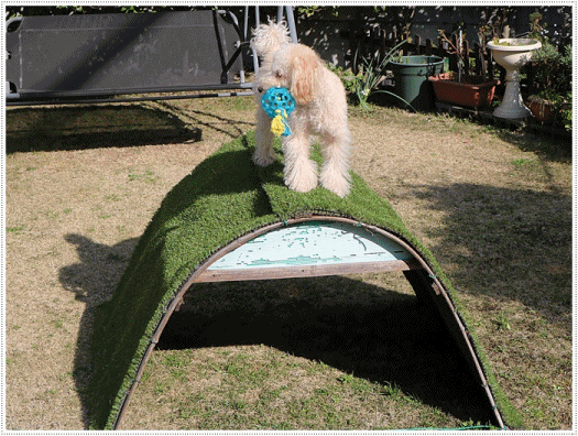 b0175688_23455930.gif