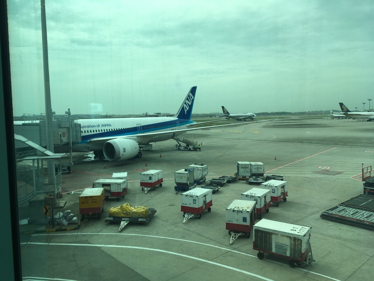 ANA NH 842便 シンガポール発羽田行き 機内食_a0345791_17542046.jpeg