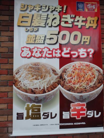 すき家の旨塩ダレ白髪ねぎ牛丼ミニ 脇浜店_c0118393_11480180.jpg