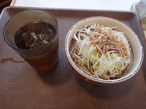 すき家の旨塩ダレ白髪ねぎ牛丼ミニ 脇浜店_c0118393_11563573.jpg