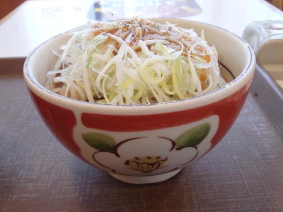 すき家の旨塩ダレ白髪ねぎ牛丼ミニ 脇浜店_c0118393_11592127.jpg