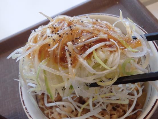すき家の旨塩ダレ白髪ねぎ牛丼ミニ 脇浜店_c0118393_12102557.jpg