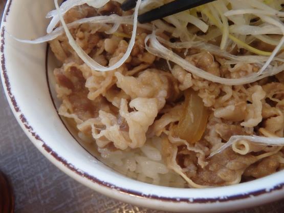 すき家の旨塩ダレ白髪ねぎ牛丼ミニ 脇浜店_c0118393_12134621.jpg