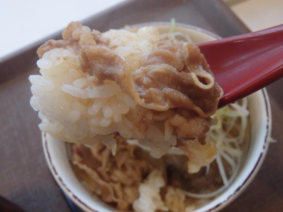 すき家の旨塩ダレ白髪ねぎ牛丼ミニ 脇浜店_c0118393_12151263.jpg