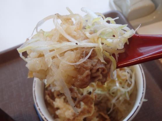 すき家の旨塩ダレ白髪ねぎ牛丼ミニ 脇浜店_c0118393_17265690.jpg