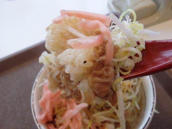 すき家の旨塩ダレ白髪ねぎ牛丼ミニ 脇浜店_c0118393_17293999.jpg