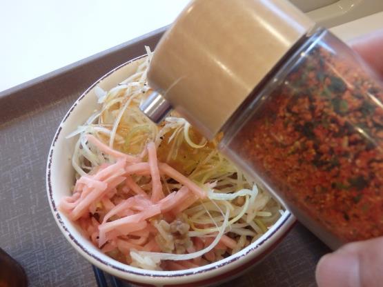 すき家の旨塩ダレ白髪ねぎ牛丼ミニ 脇浜店_c0118393_17311680.jpg