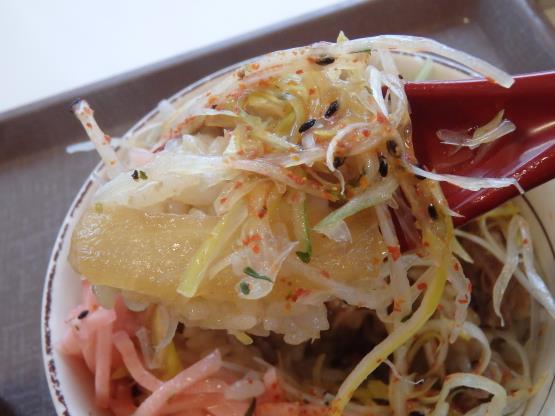 すき家の旨塩ダレ白髪ねぎ牛丼ミニ 脇浜店_c0118393_17320325.jpg