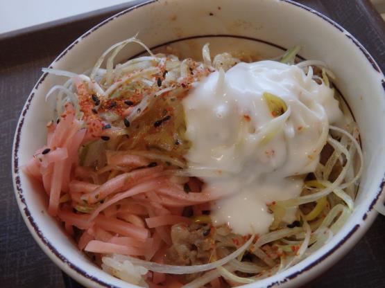 すき家の旨塩ダレ白髪ねぎ牛丼ミニ 脇浜店_c0118393_17332047.jpg
