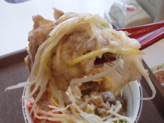すき家の旨塩ダレ白髪ねぎ牛丼ミニ 脇浜店_c0118393_17333964.jpg
