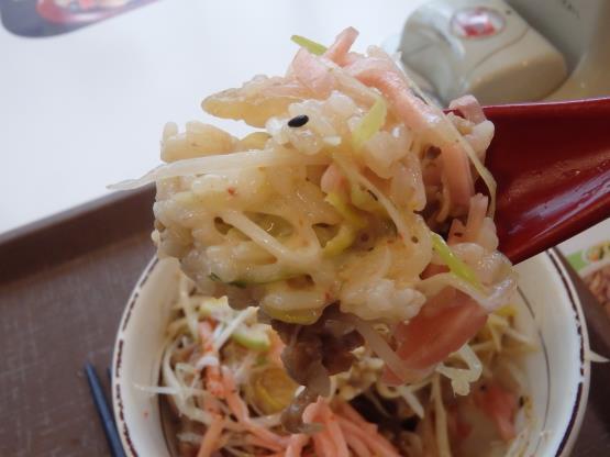 すき家の旨塩ダレ白髪ねぎ牛丼ミニ 脇浜店_c0118393_17350659.jpg