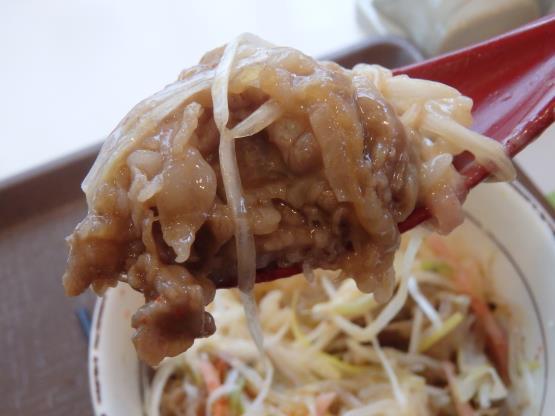 すき家の旨塩ダレ白髪ねぎ牛丼ミニ 脇浜店_c0118393_17365683.jpg