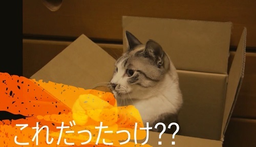 ワクワクな気持ち_a0333195_00140334.jpg