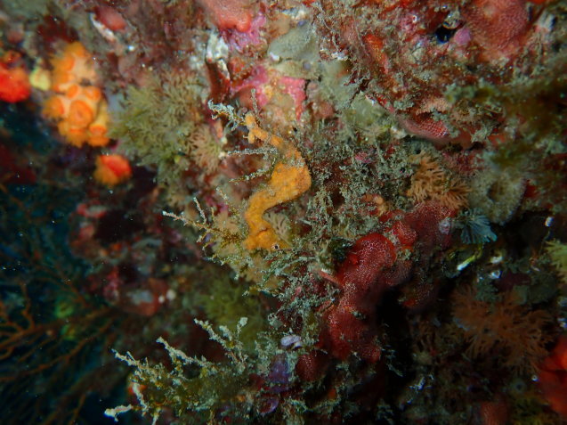 e0115199_16042798.jpg