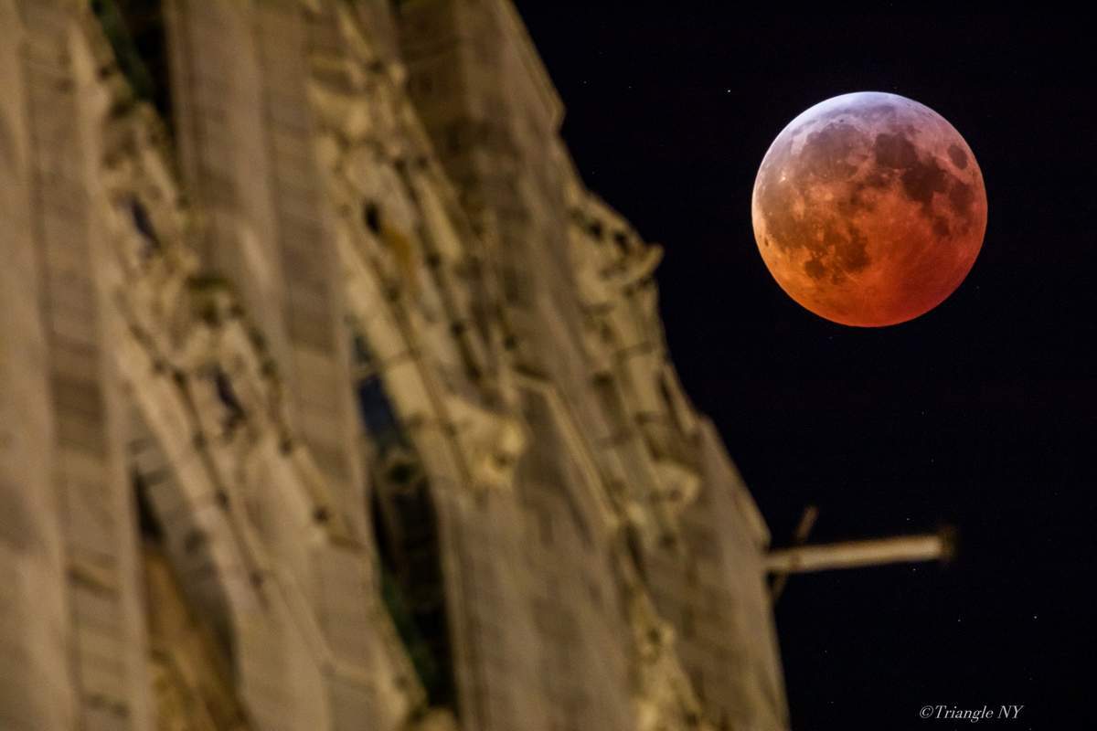 Super Blood Wolf Moon 2019_a0274805_21542478.jpg