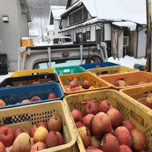 大寒ですが、今年は平年より寒さを感じないです。_d0099708_11253528.gif
