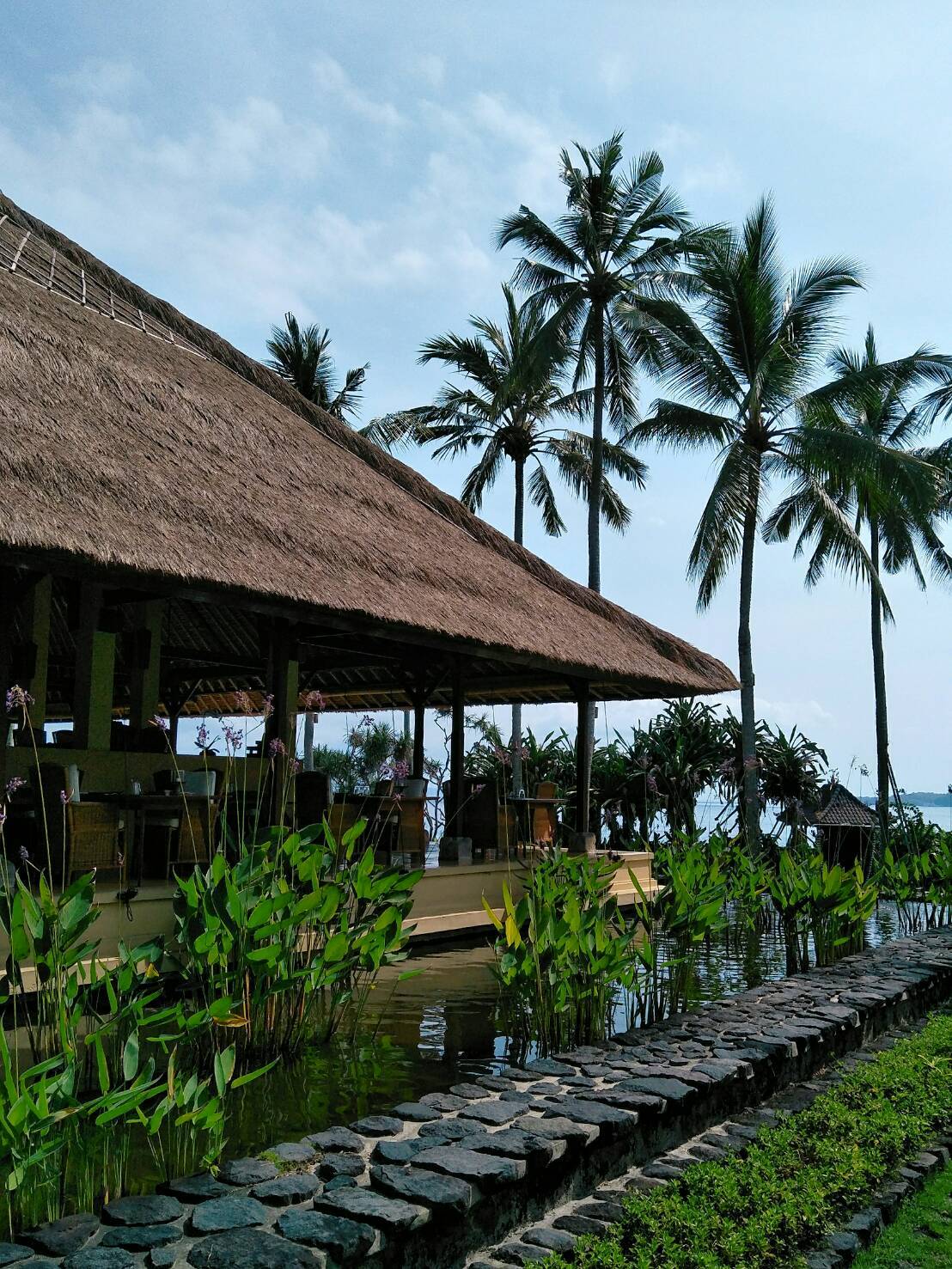 a0154918_14535192.jpg