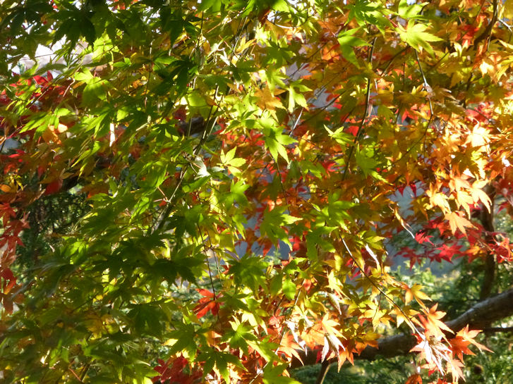 c0051620_121843100.jpg