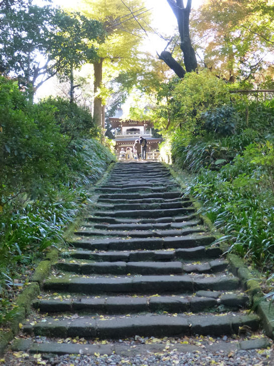 鎌倉錦秋編(3)：建長寺・寿福寺(15.12)_c0051620_7584186.jpg