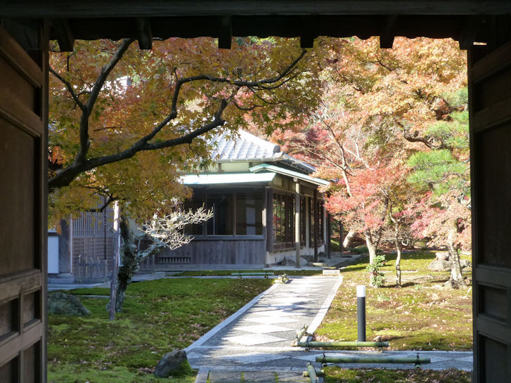 鎌倉錦秋編(3)：建長寺・寿福寺(15.12)_c0051620_802154.jpg