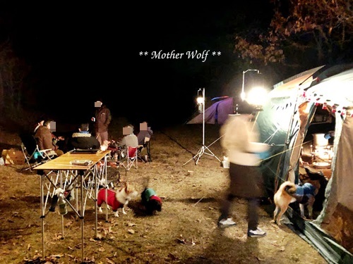 第8回キャンプ『マザーウルフCAMP~2018冬~in 静岡』②後篇_e0191026_18184574.jpg