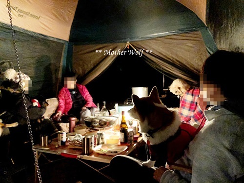 第8回キャンプ『マザーウルフCAMP~2018冬~in 静岡』②後篇_e0191026_18222176.jpg